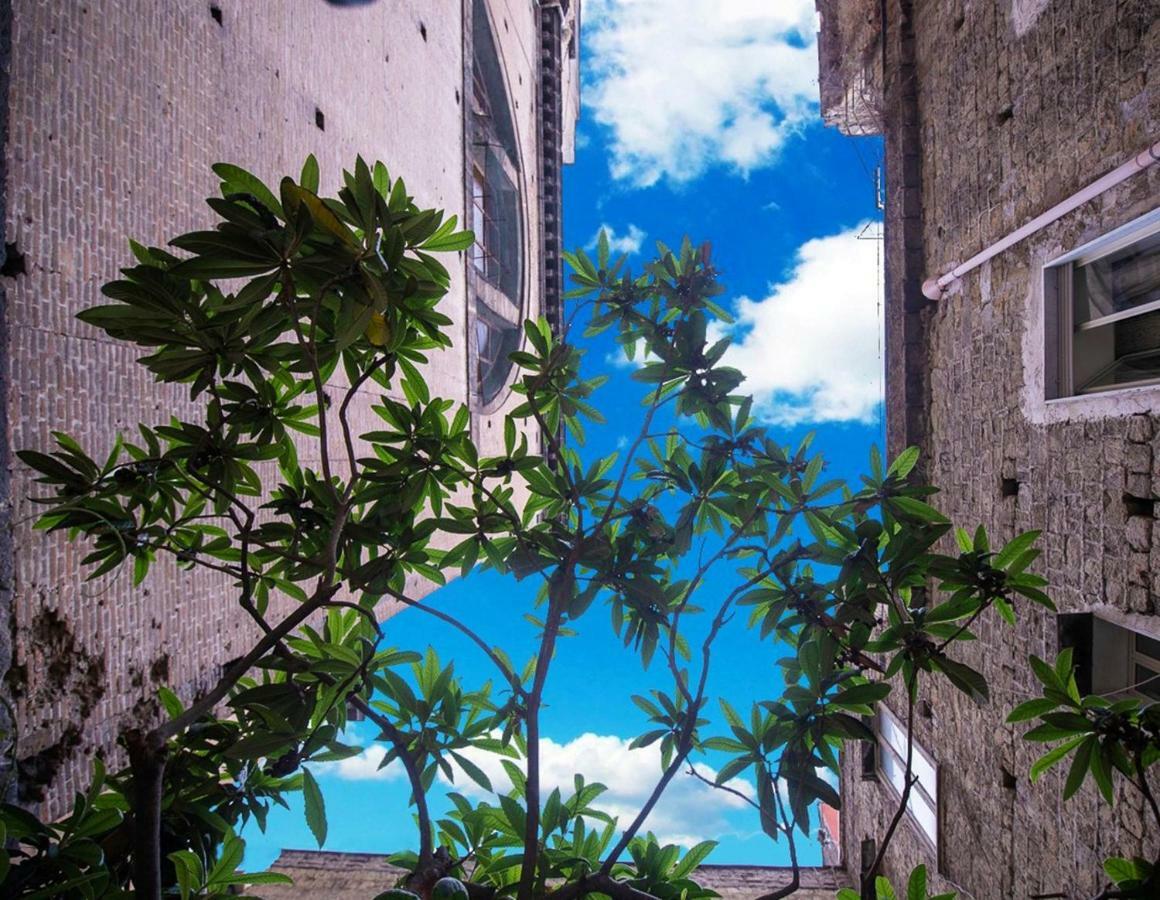 B&B Al Centro Storico Napoli Dış mekan fotoğraf